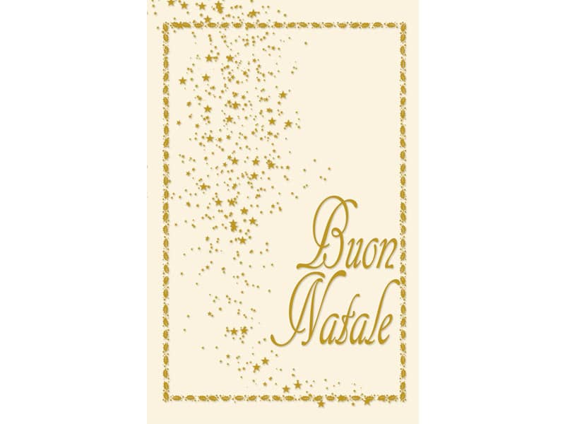 Biglietti Natalizi con busta formato 9x14 cm - conf.6 soggetti in due colori Biembi - BAD202C61
