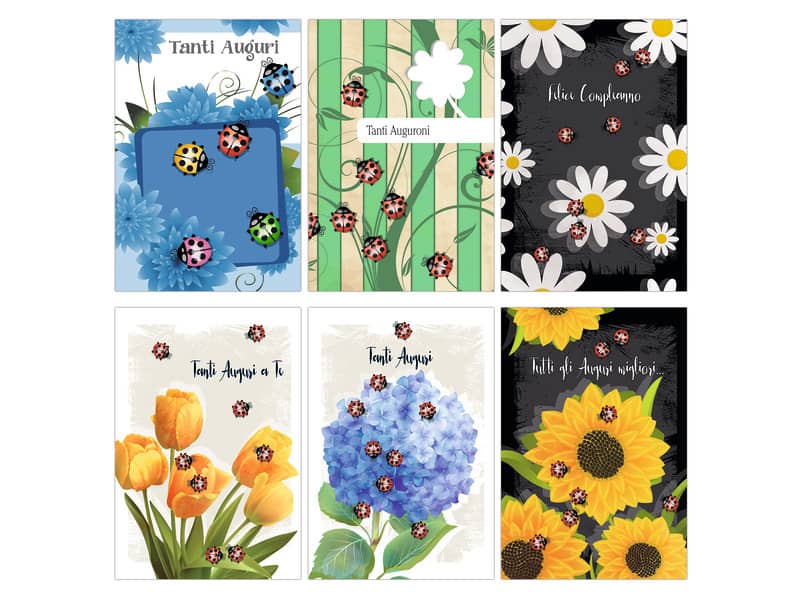 Biglietti augurali Biembi Compleanno 12x18 cm conf. 6 pezzi assortiti - coccinelle - BXBDKTC06