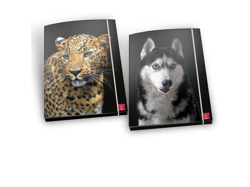 Cartella a 3 lembi con elastico Pigna Animal - A4 30x22x5 cm fantasie assortite - 02330283L
