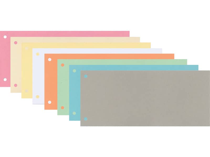 Separatore per archivio con due fori Q-Connect 24x10,5 cm 190 g/m² blu conf. da 100