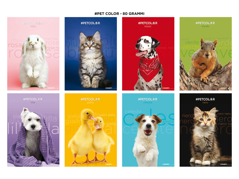Maxi quaderno Blasetti Pet A4 80 g/m² - conf. 10 pz - 0B 7902