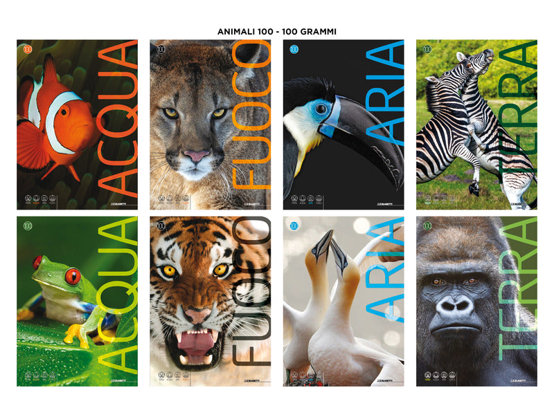 Maxi quaderno Blasetti Animali A4 100 g/m² - conf. 10 pz - 10M 7862